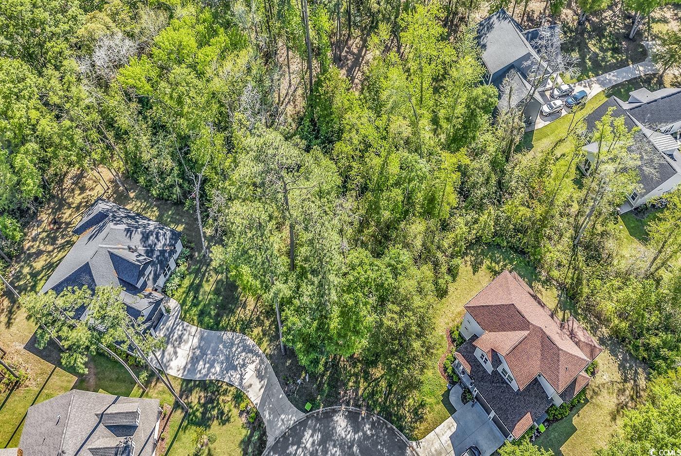 100 Rivers Edge Drive Conway, SC 29526 - Photo 3 of 14 Gallery Image 3