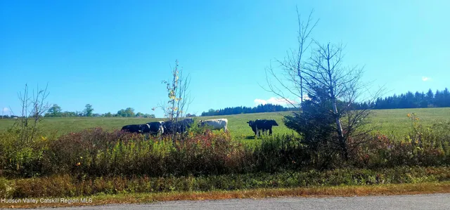 a view of a lake with a big yard