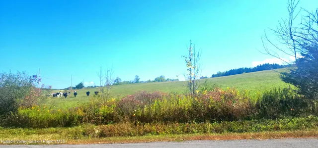 a view of a lake with a mountain