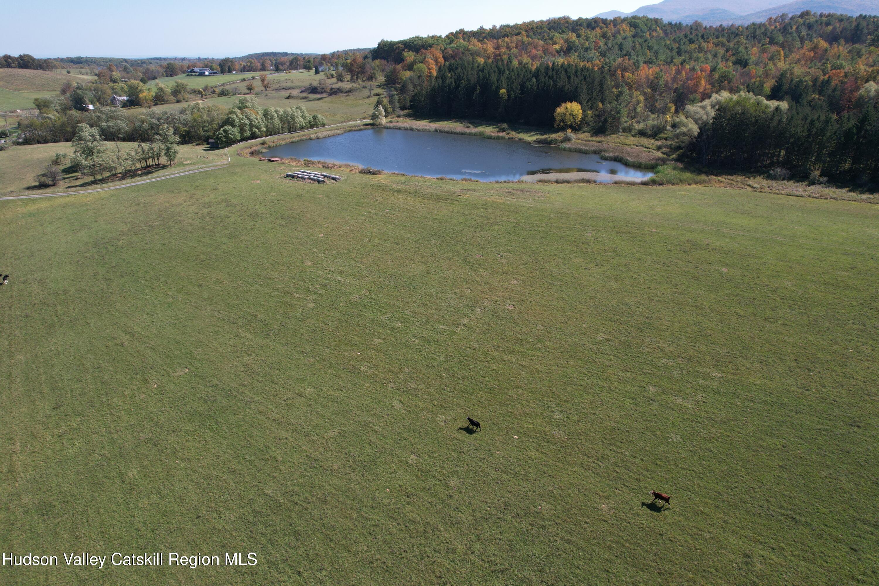 0 Cunningham And Cochrane Road Durham, NY 12422 - Photo 16 of 16 a view of outdoor space and yard