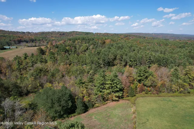 a view of a bunch of trees and bushes