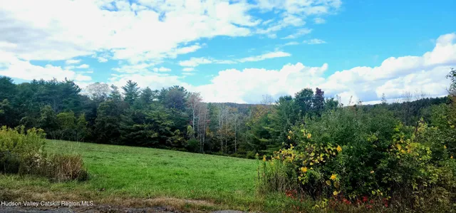 a view of a green yard