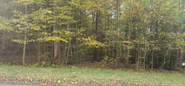 a close up of a plant in a garden