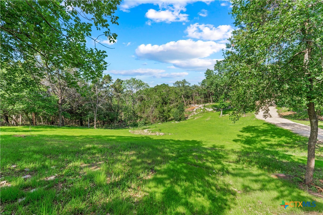 8433 Rita Bend Road Salado, TX 76571 - Photo 6 of 46