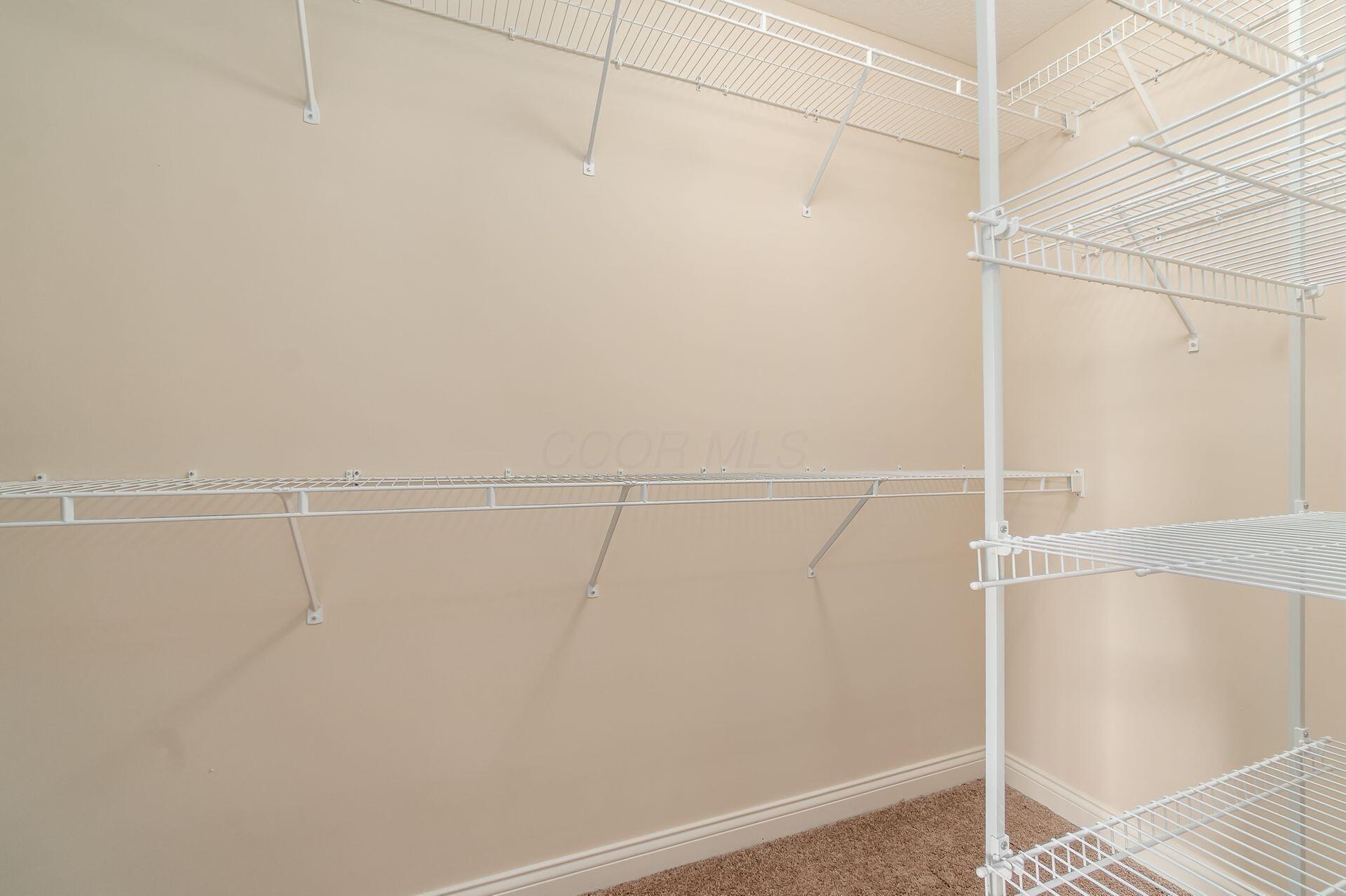 8366 Marwithe Place New Albany, OH 43054 - Photo 26 of 46 Owner Closet
