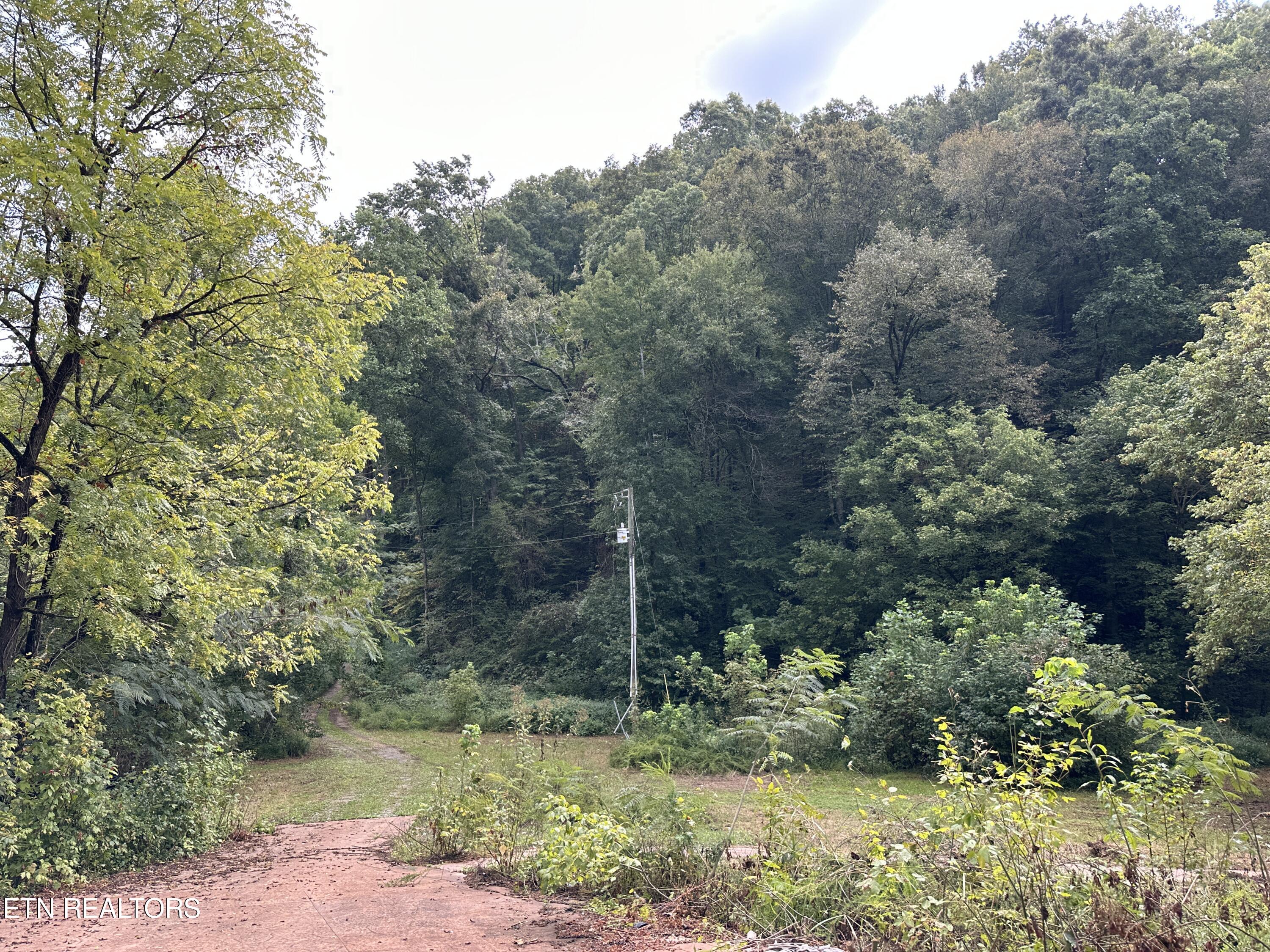 1035 Porterfield Gap Road Seymour, TN 37865 - Photo 4 of 32 IMG_2012