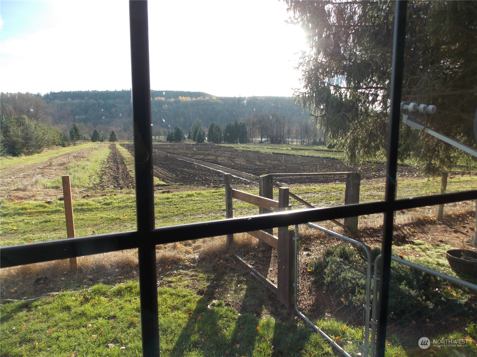 156 Aldrich Road Mossyrock, WA 98564 - Photo 31 of 32 Gallery Image 31