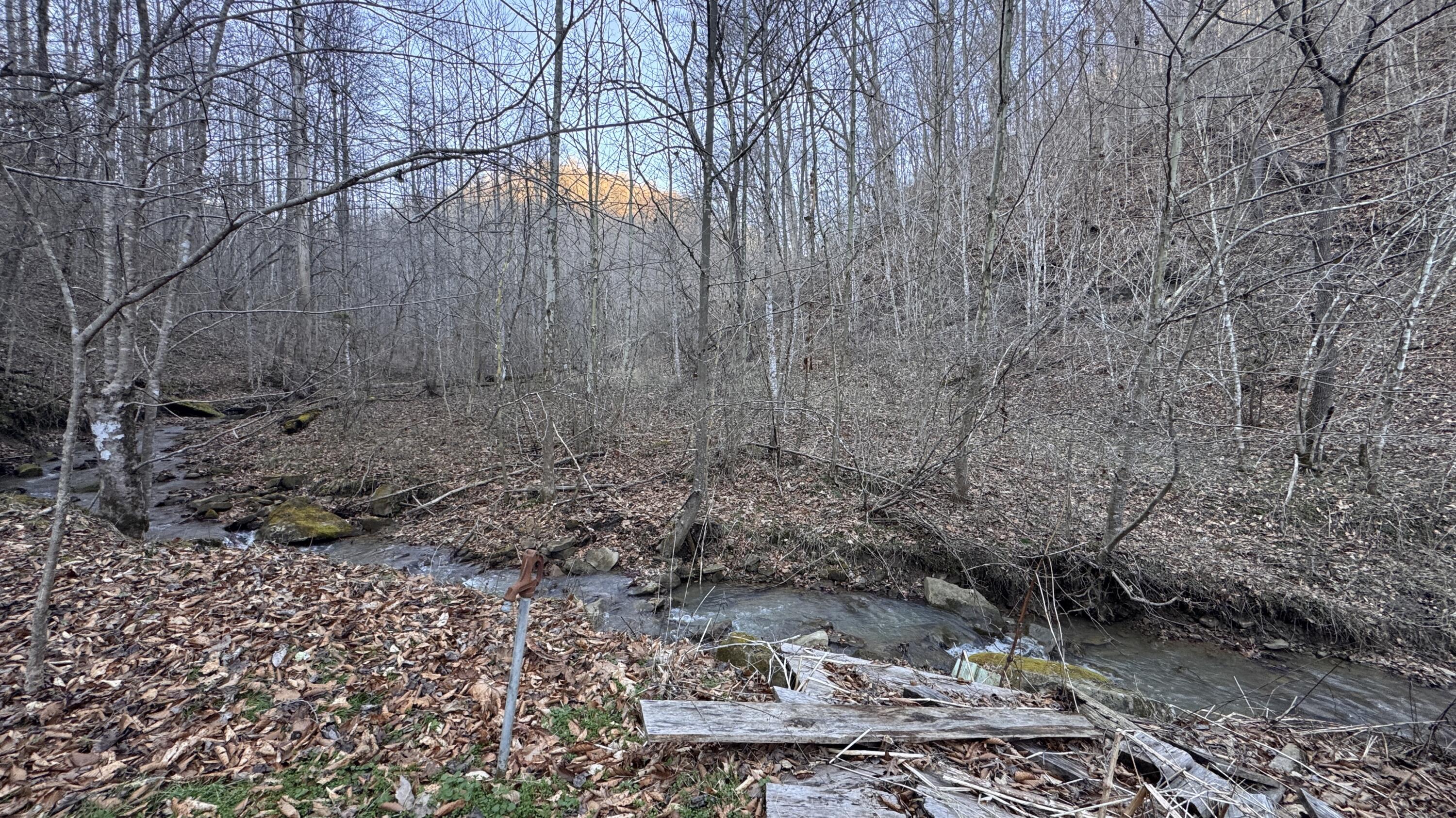 421 Wren Br Road Oneida, KY 40972 - Photo 33 of 34 Creek