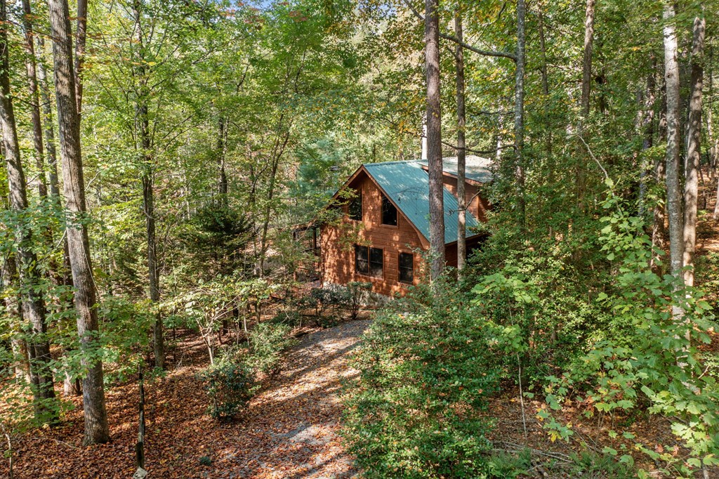 591 Arrowhead Pass Blue Ridge, GA 30513 - Photo 28 of 41 Gallery Image 28