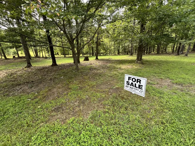 a sign board with tall trees
