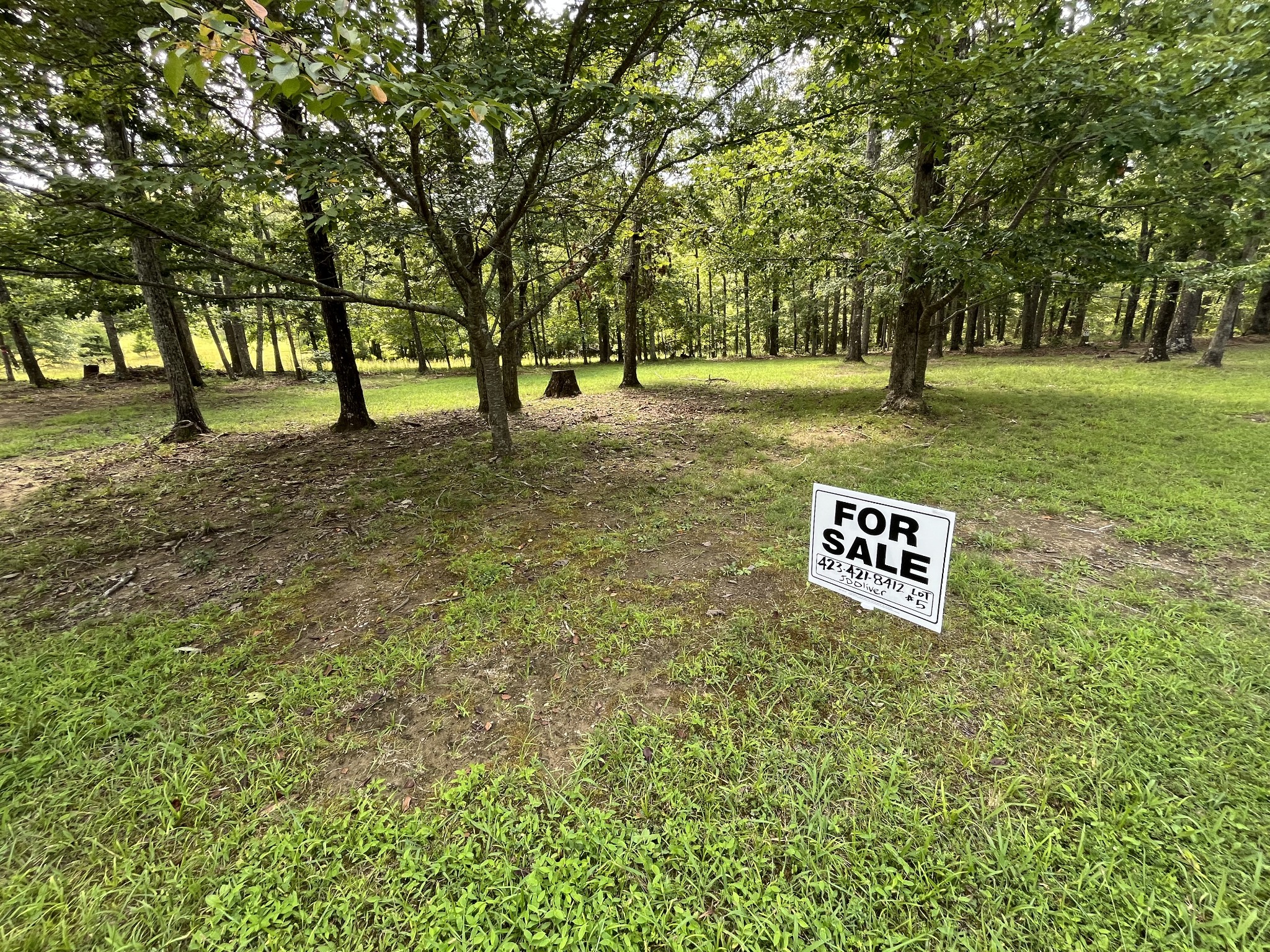 a sign board with tall trees