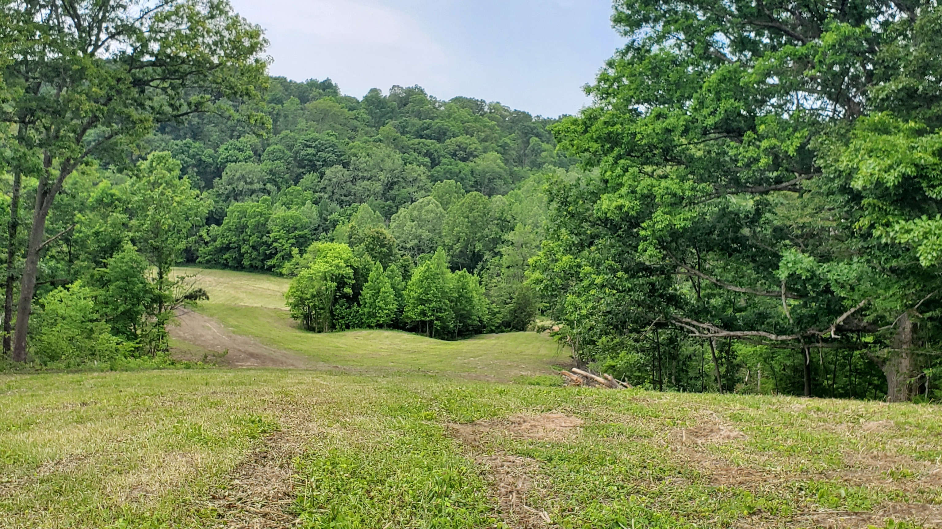 7988 North Payne Road Bloomington, IN 47408 - Photo 11 of 53 Gallery Image 11