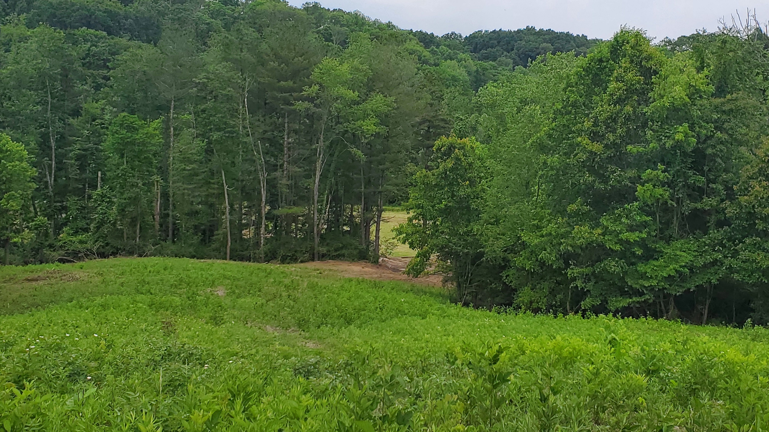 7988 North Payne Road Bloomington, IN 47408 - Photo 16 of 53 Gallery Image 16