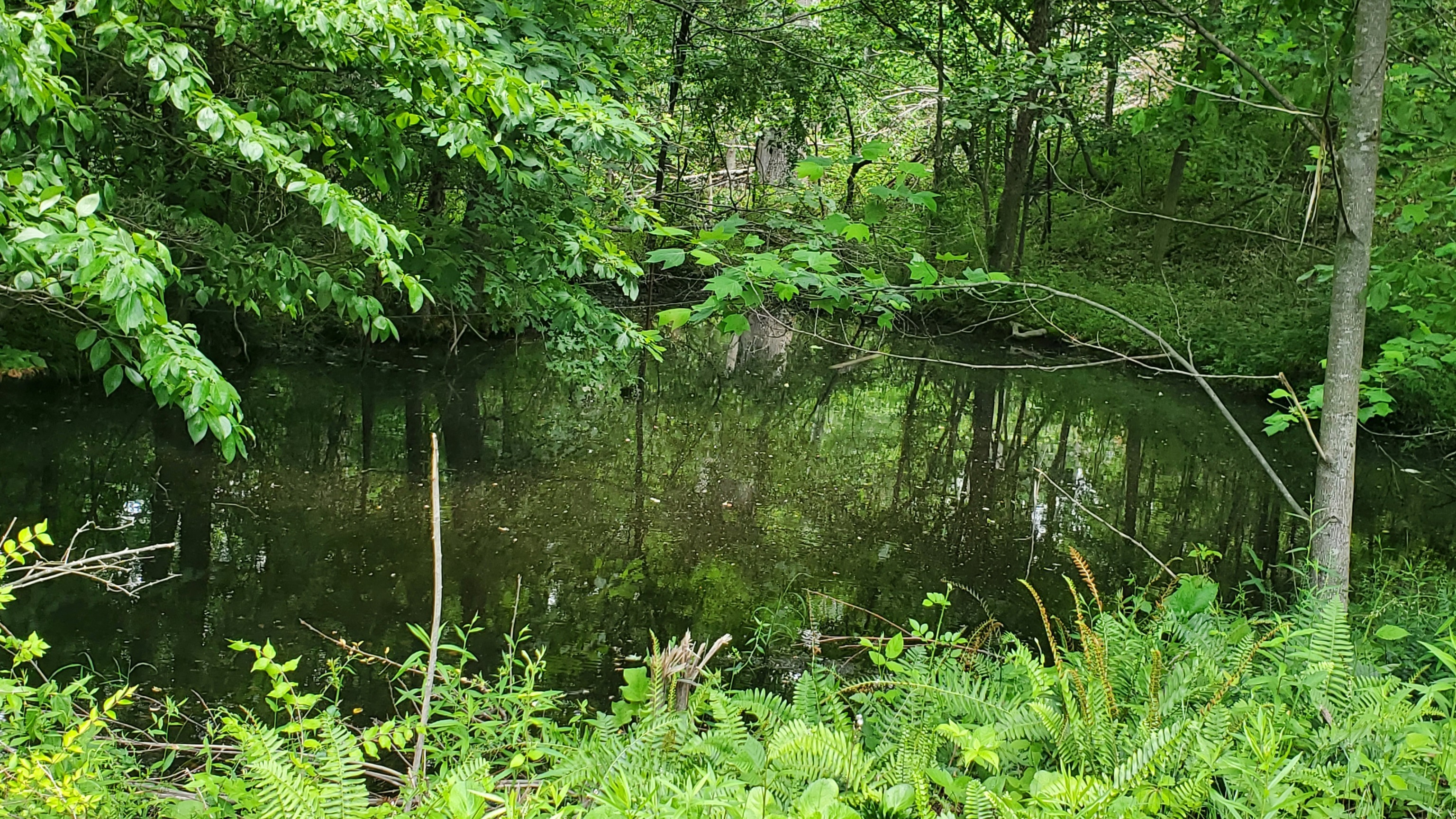 7988 North Payne Road Bloomington, IN 47408 - Photo 17 of 53 Gallery Image 17