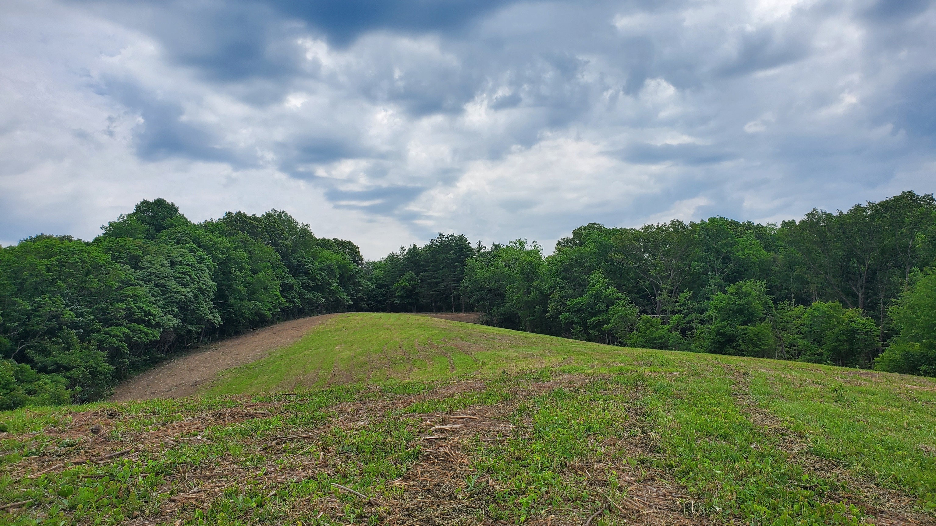 7988 North Payne Road Bloomington, IN 47408 - Photo 26 of 53 Gallery Image 26