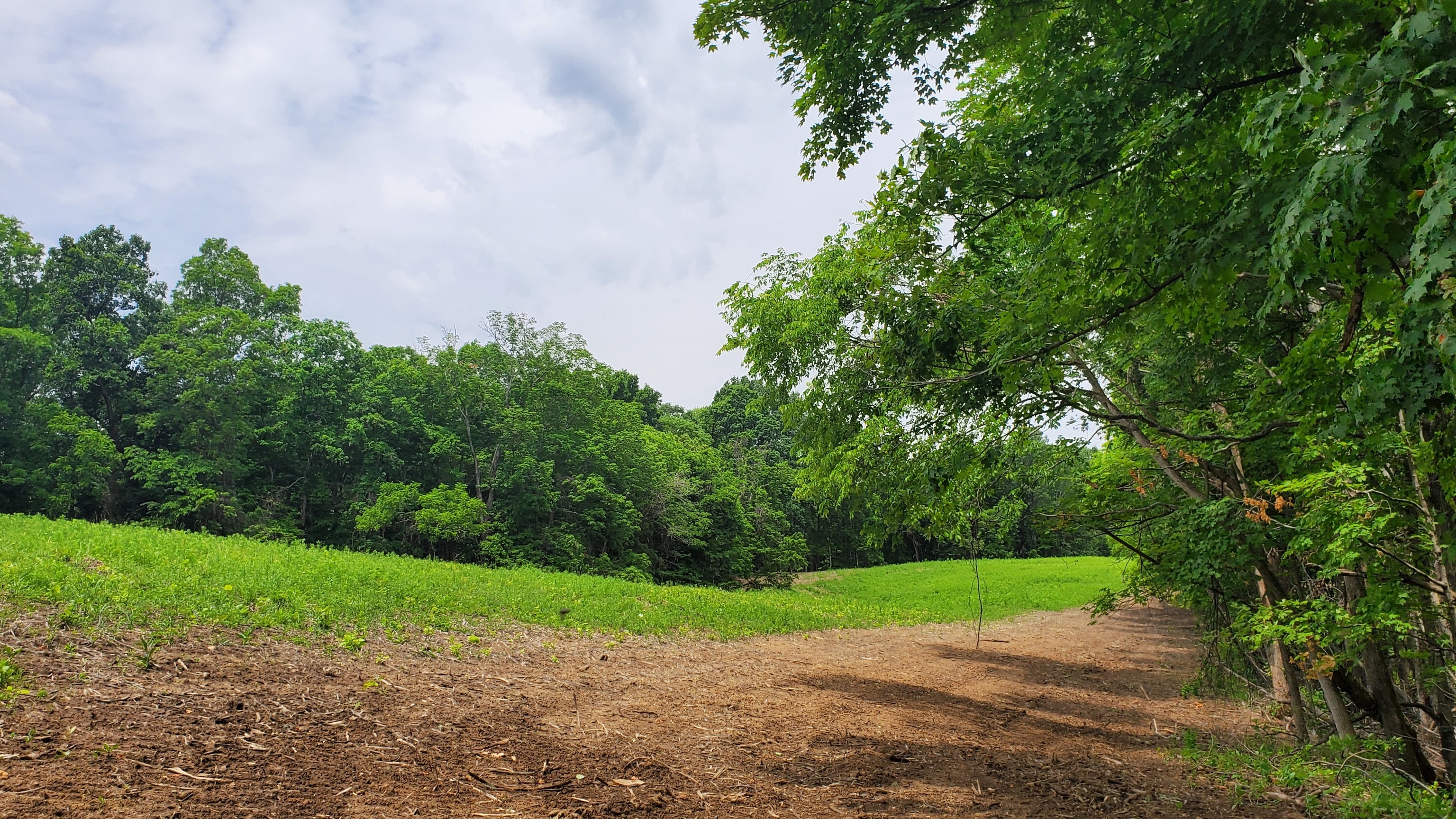 7988 North Payne Road Bloomington, IN 47408 - Photo 41 of 53 Gallery Image 41