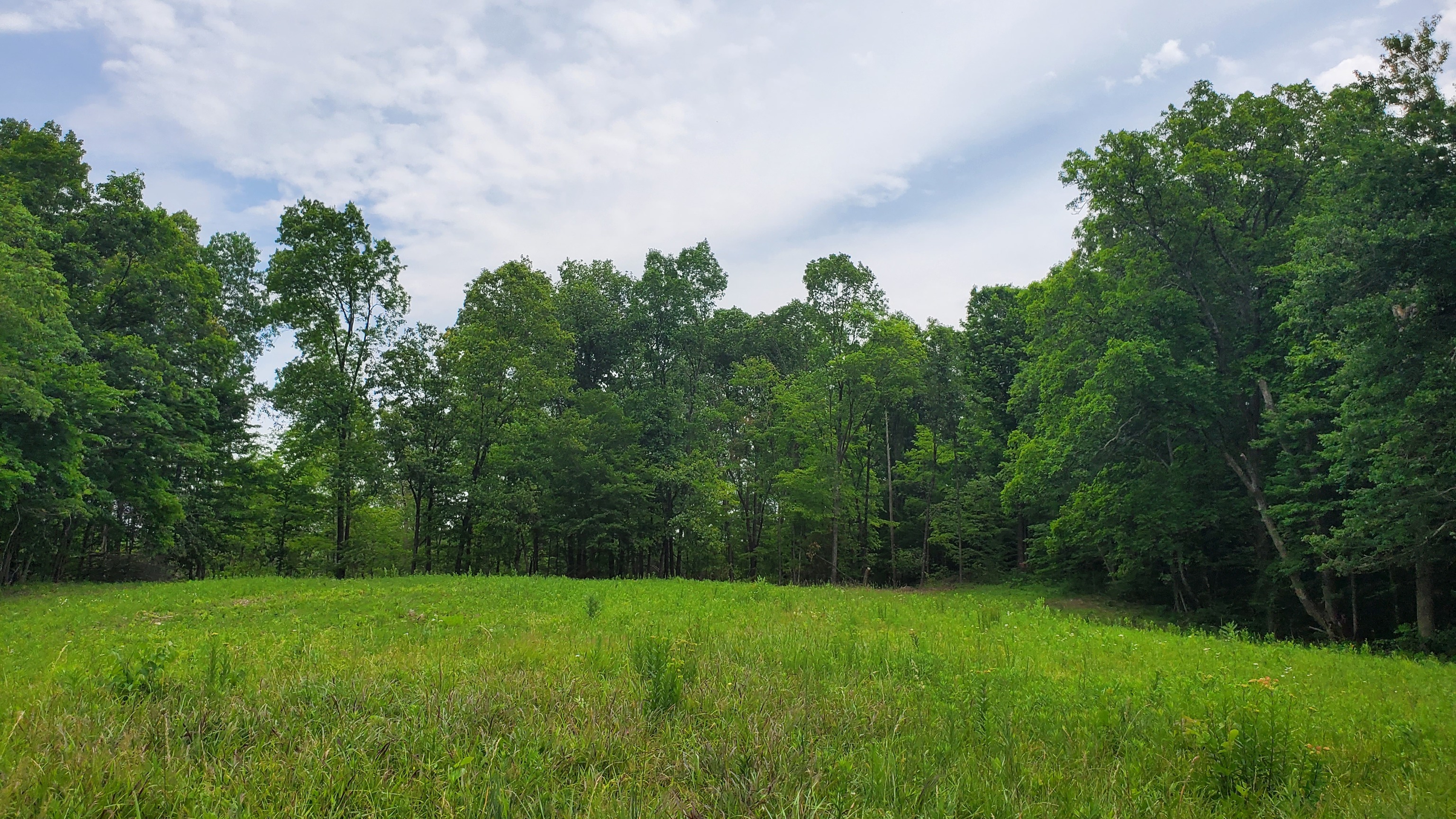 7988 North Payne Road Bloomington, IN 47408 - Photo 44 of 53 Gallery Image 44