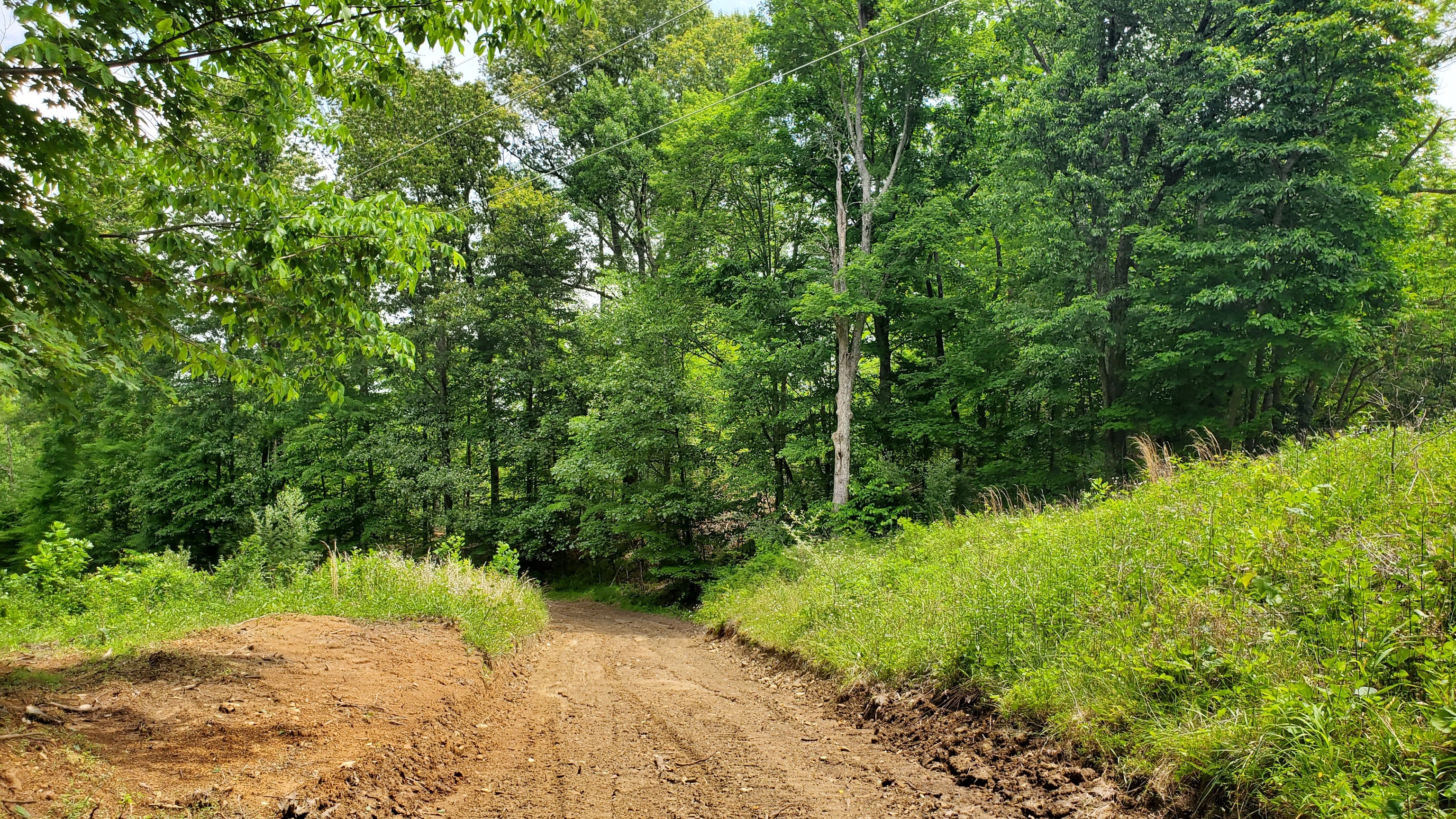 7988 North Payne Road Bloomington, IN 47408 - Photo 45 of 53 Gallery Image 45