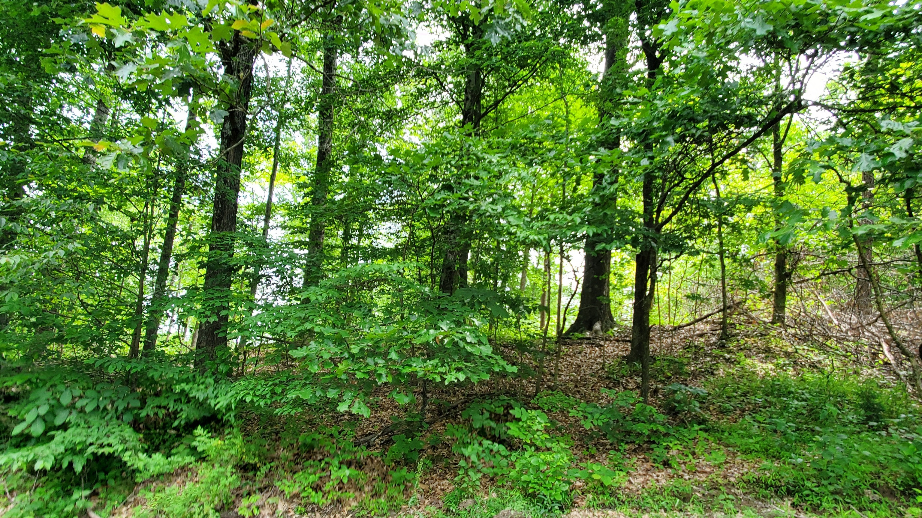 7988 North Payne Road Bloomington, IN 47408 - Photo 46 of 53 Gallery Image 46