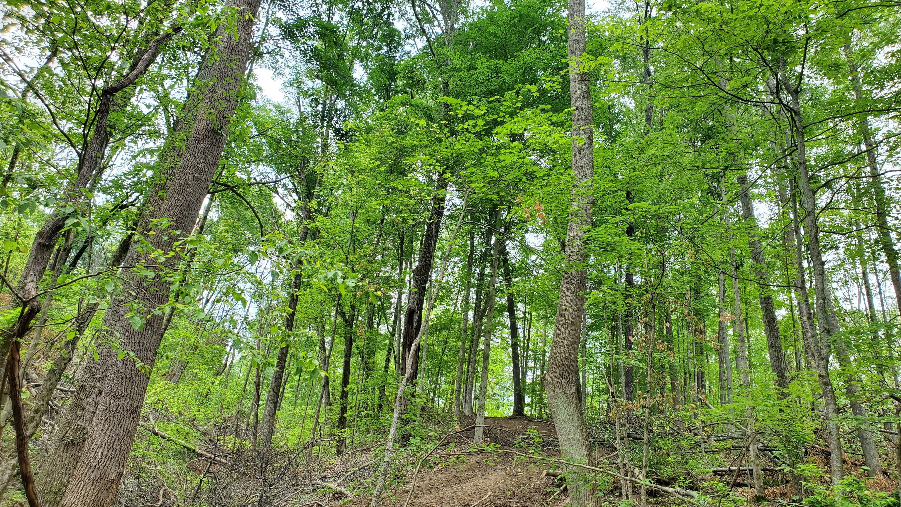 7988 North Payne Road Bloomington, IN 47408 - Photo 47 of 53 Gallery Image 47