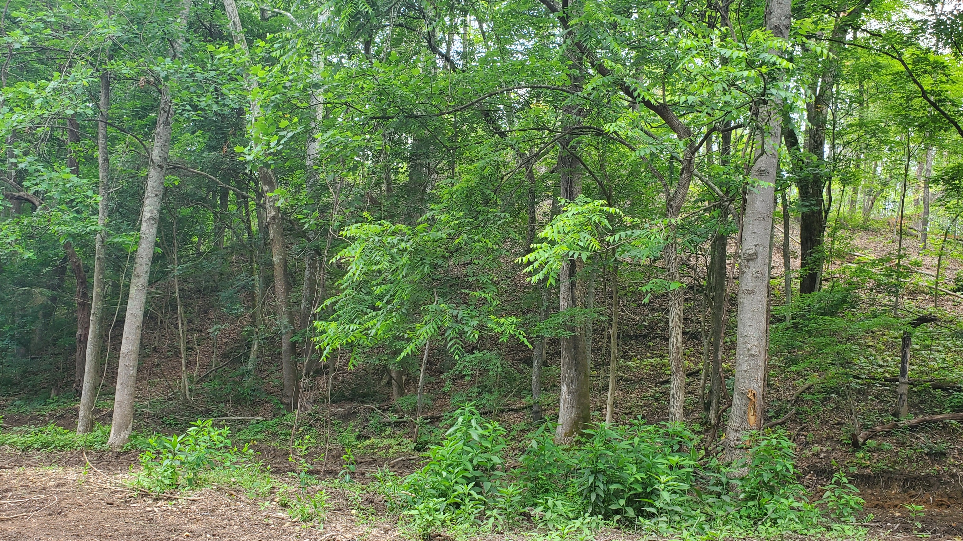 7988 North Payne Road Bloomington, IN 47408 - Photo 49 of 53 Gallery Image 49