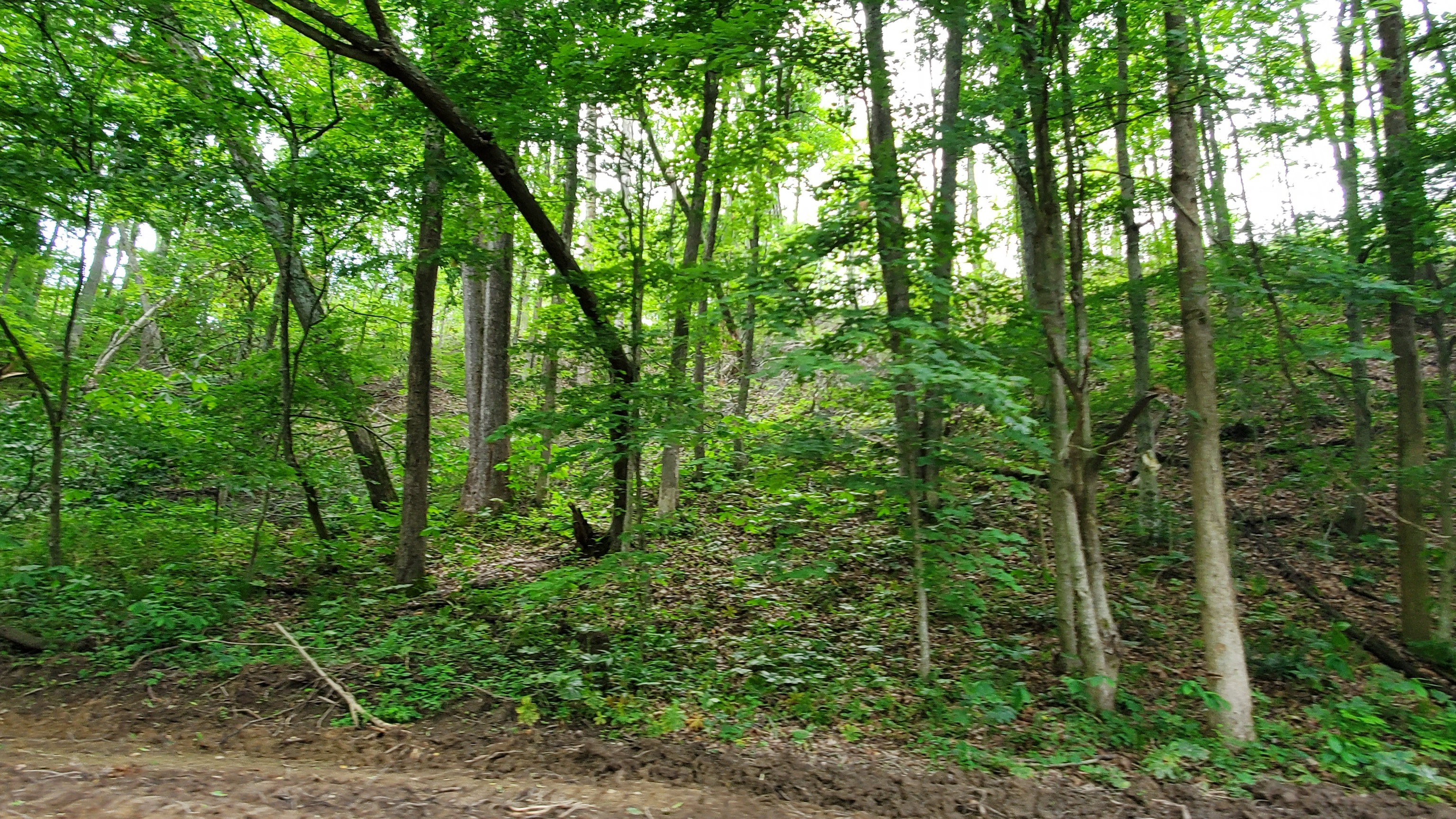 7988 North Payne Road Bloomington, IN 47408 - Photo 50 of 53 Gallery Image 50