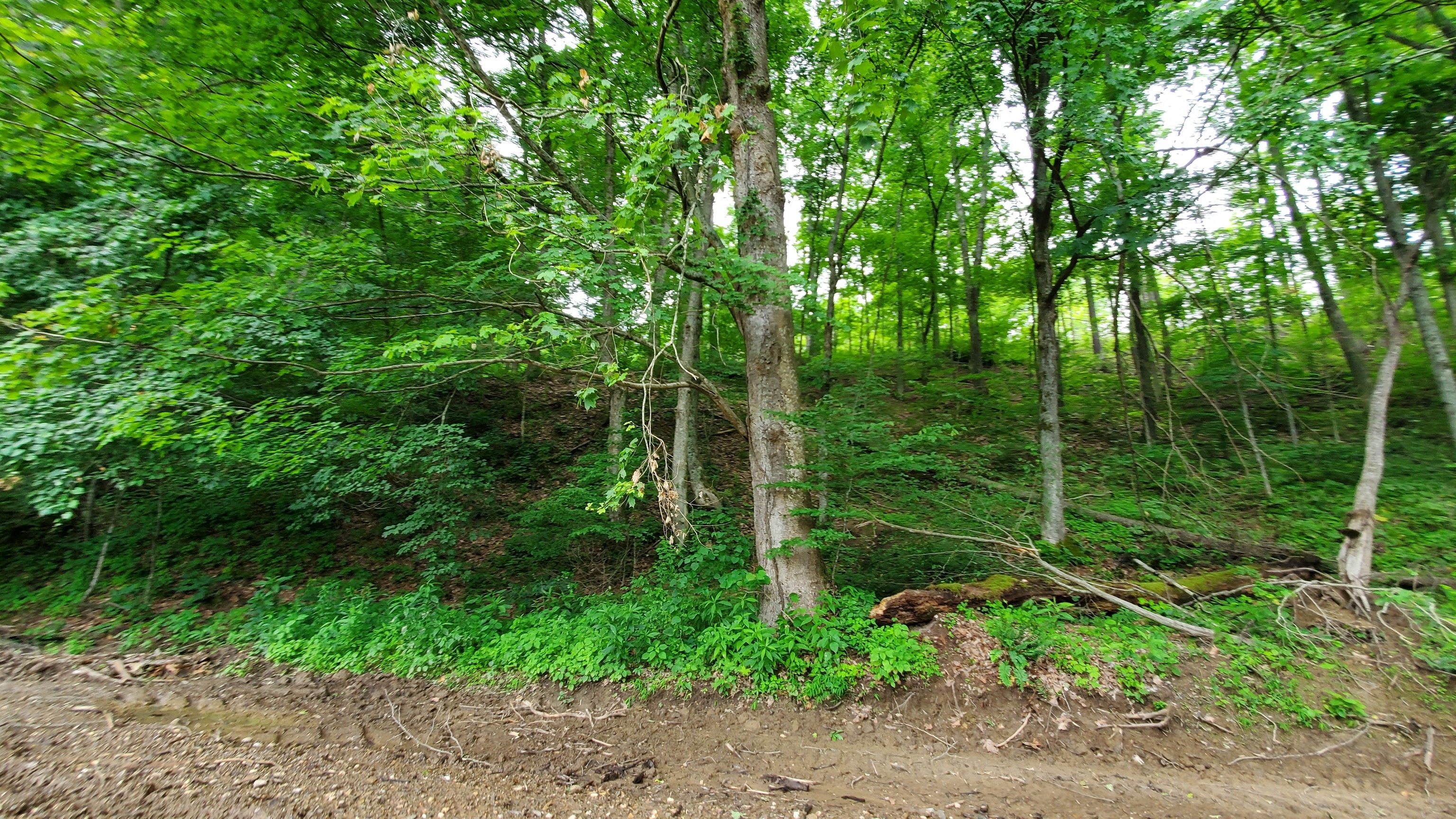 7988 North Payne Road Bloomington, IN 47408 - Photo 52 of 53 Gallery Image 52