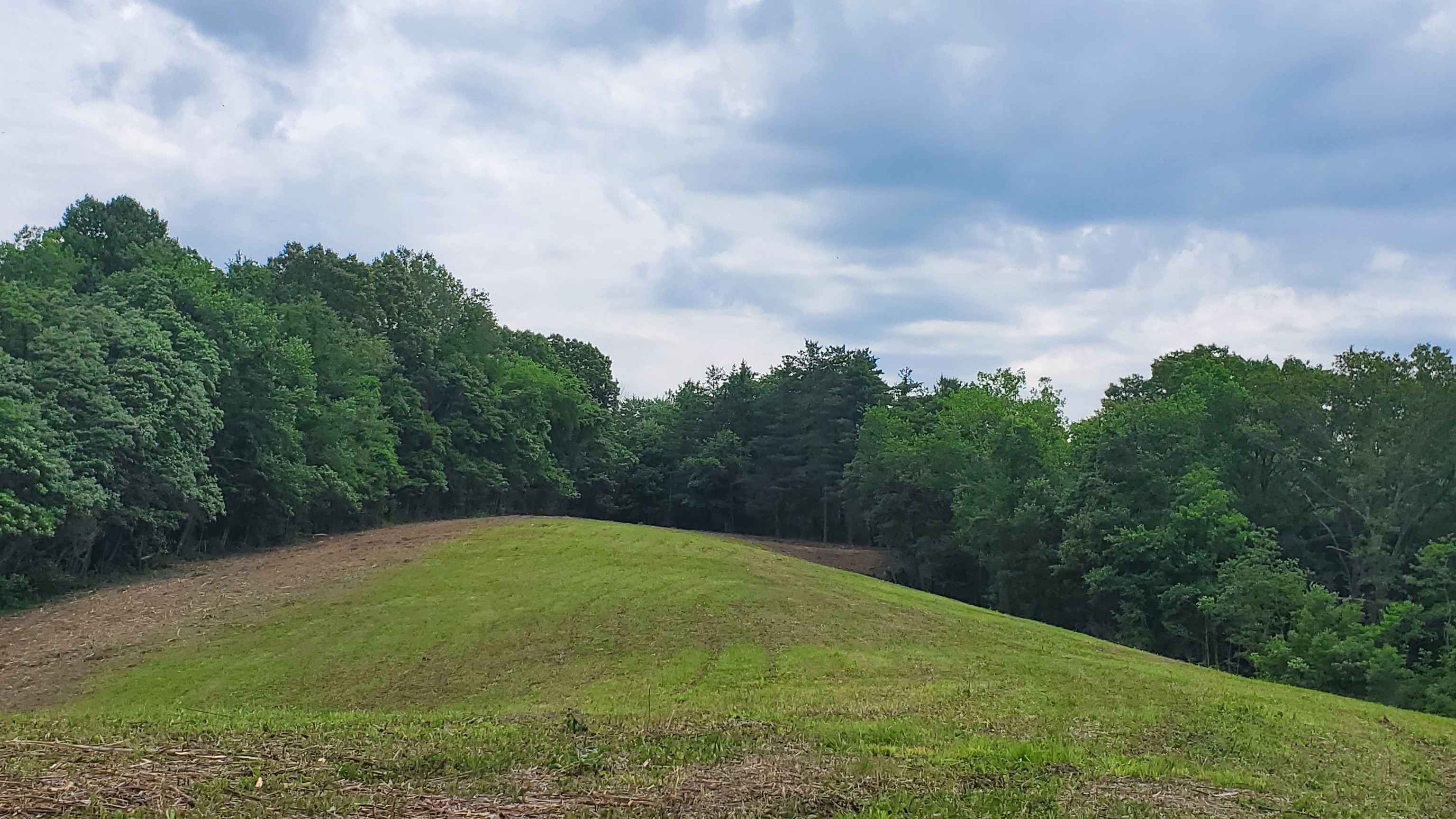 7988 North Payne Road Bloomington, IN 47408 - Photo 9 of 53 Gallery Image 9