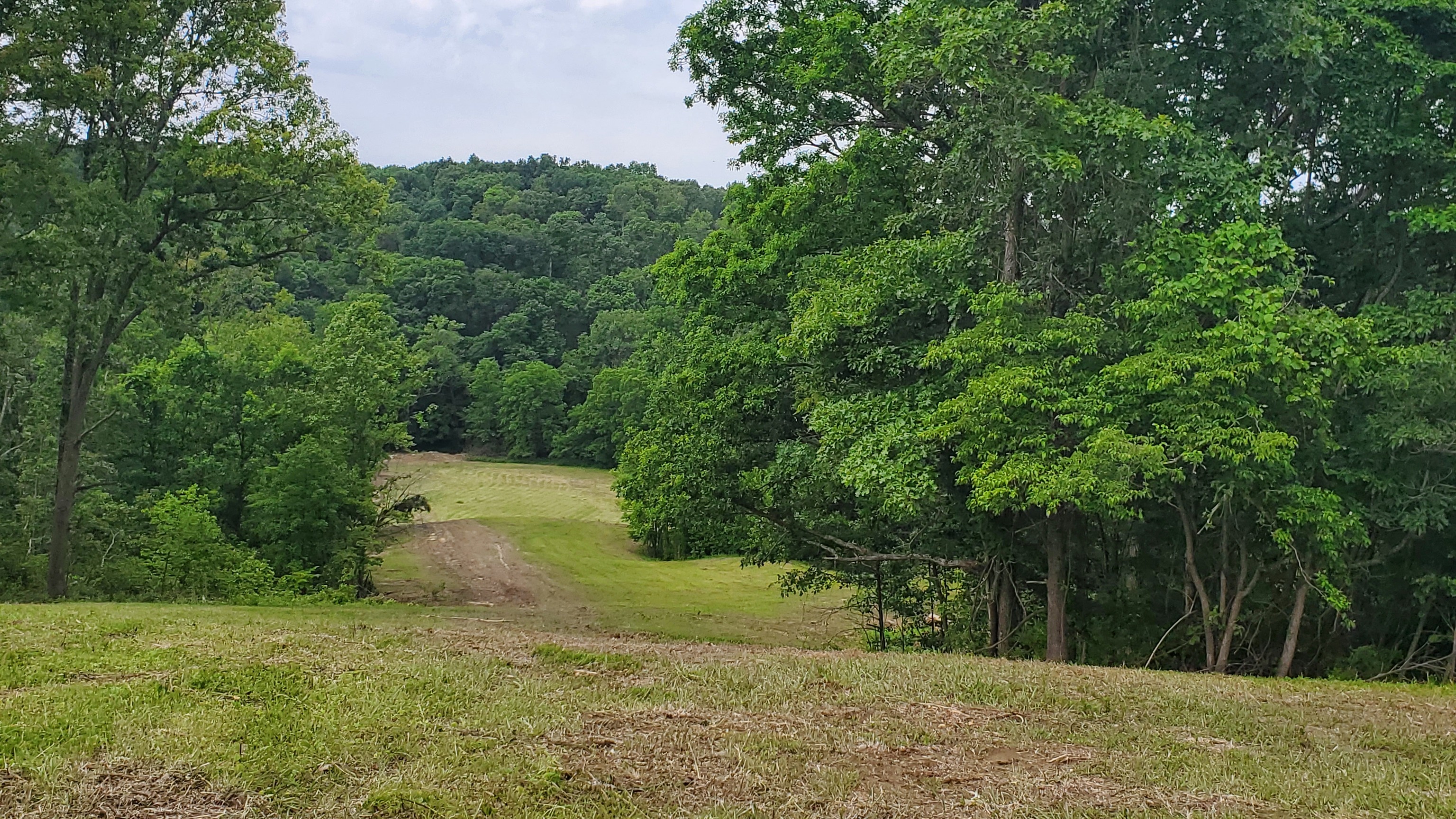 7988 North Payne Road Bloomington, IN 47408 - Photo 10 of 53 Gallery Image 10