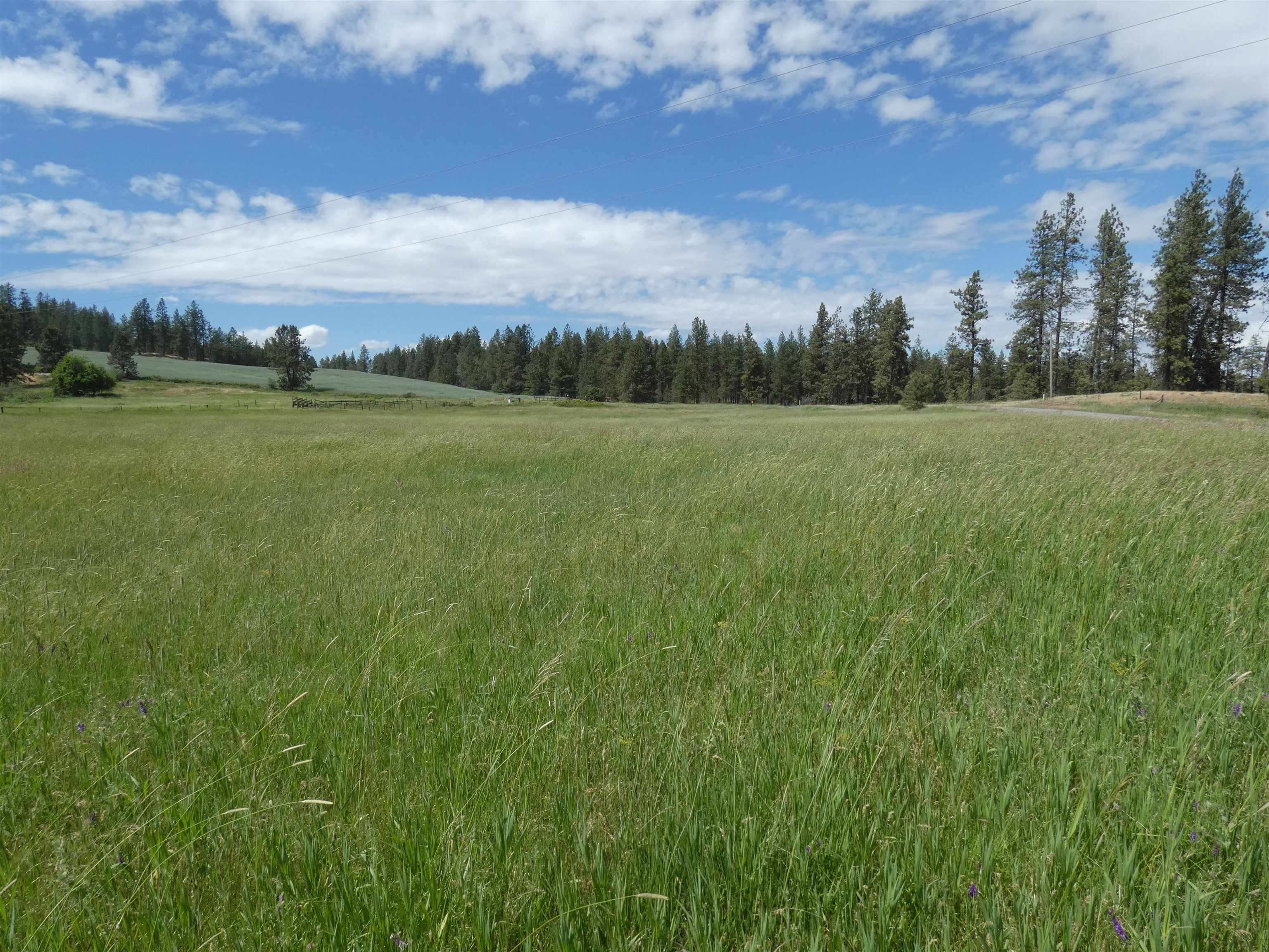 8309 West Jensen Road Cheney, WA 99004 - Photo 6 of 11