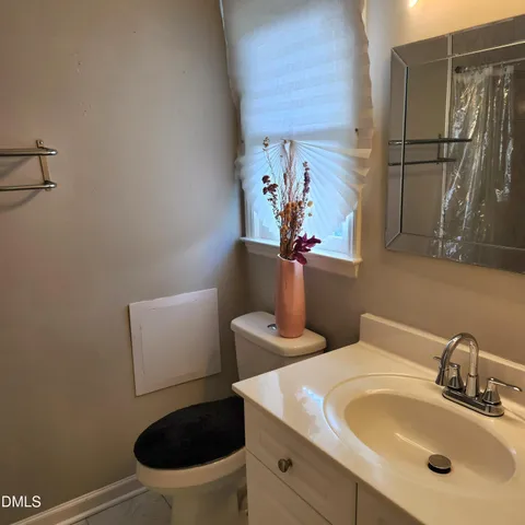 a bathroom with a sink and a toilet