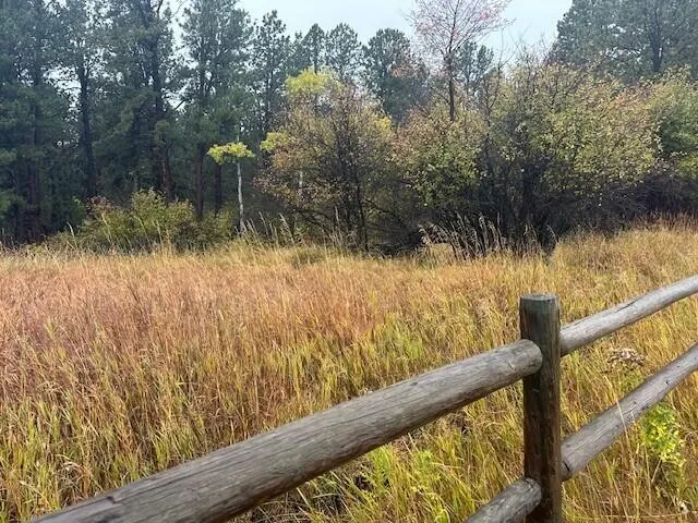 $160,000 | 8 Lois Lane, Story, WY 82842