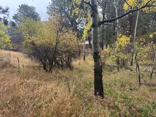 $160,000 | 8 Lois Lane, Story, WY 82842