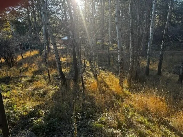 $160,000 | 8 Lois Lane, Story, WY 82842