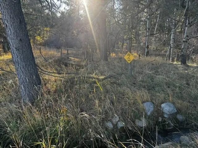 $160,000 | 8 Lois Lane, Story, WY 82842