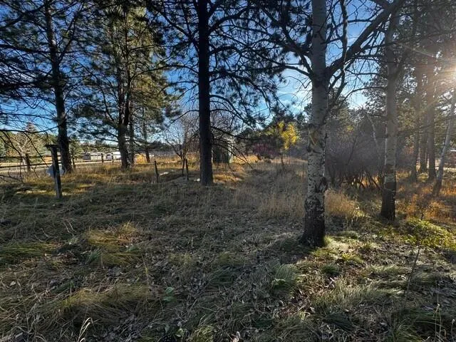 $160,000 | 8 Lois Lane, Story, WY 82842