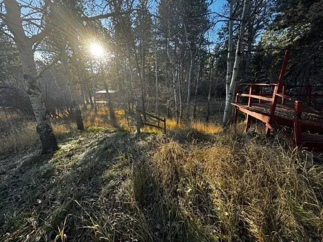 $160,000 | 8 Lois Lane, Story, WY 82842