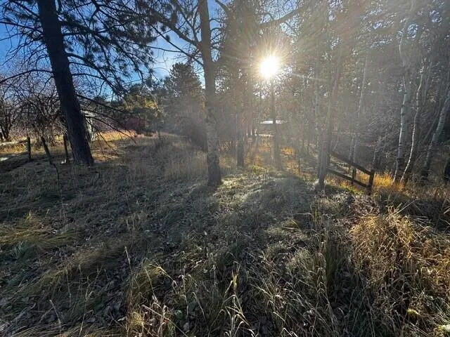 $160,000 | 8 Lois Lane, Story, WY 82842