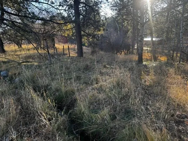 $160,000 | 8 Lois Lane, Story, WY 82842