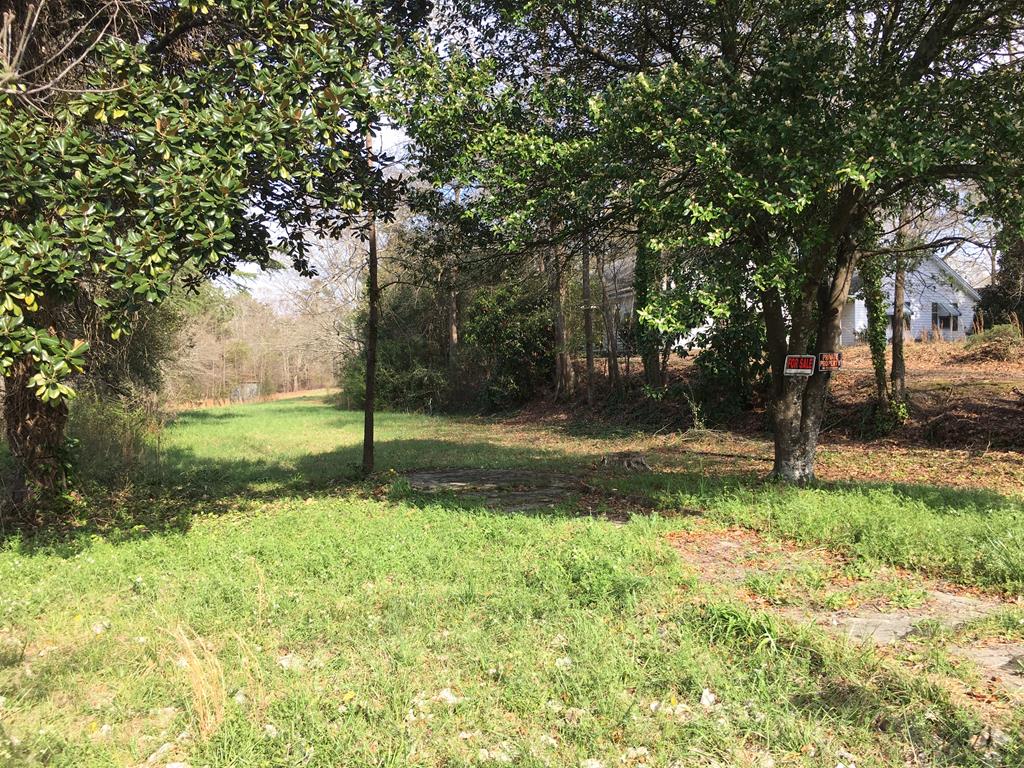 5670 Spring Street Warm Springs, GA 31830 - Photo 1 of 7 Main View