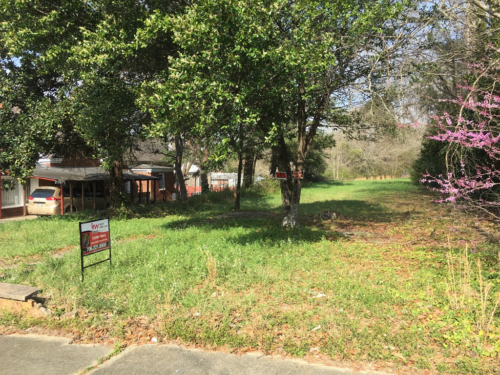 5670 Spring Street Warm Springs, GA 31830 - Photo 2 of 7 Gallery Image 2