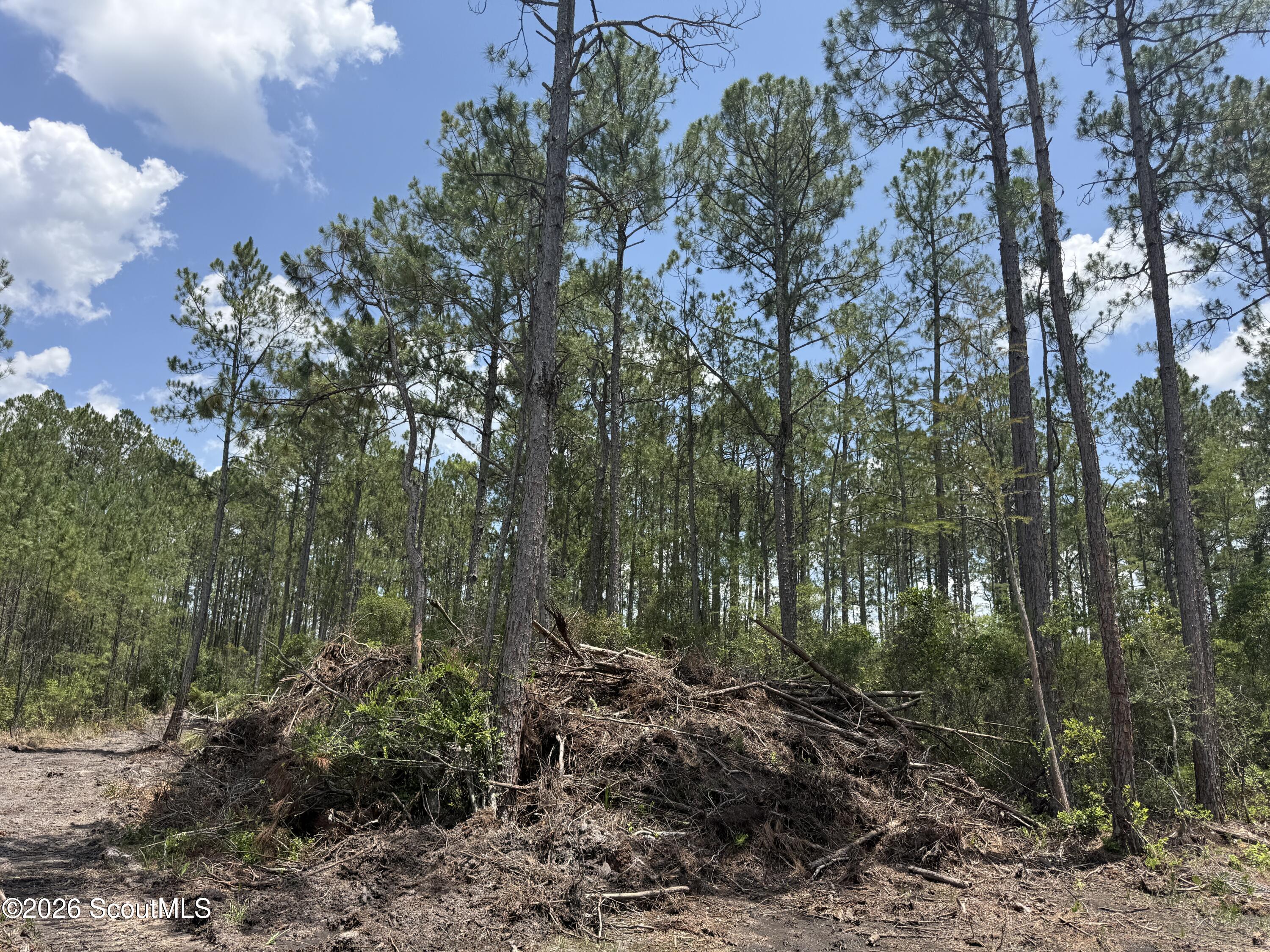 Lot 9 Corbitt Road, Unit LOT 9 Manor, GA 31550 - Photo 2 of 11 IMG_8049