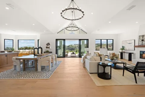 a living room with furniture a rug potted plant and windows