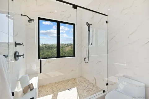 a bathroom with a shower and a toilet