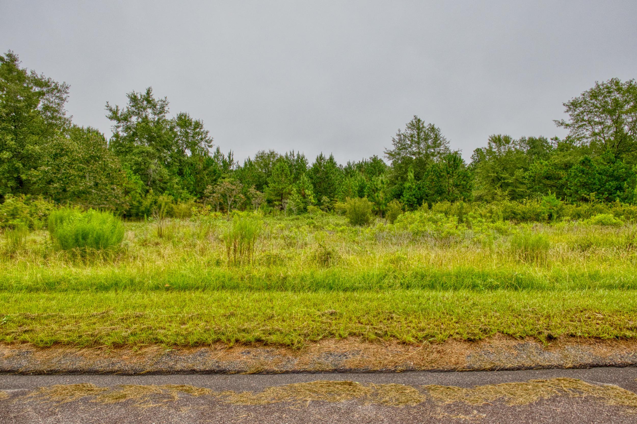Lot 5 Cooks Pond Road Windsor, SC 29856 - Photo 22 of 23