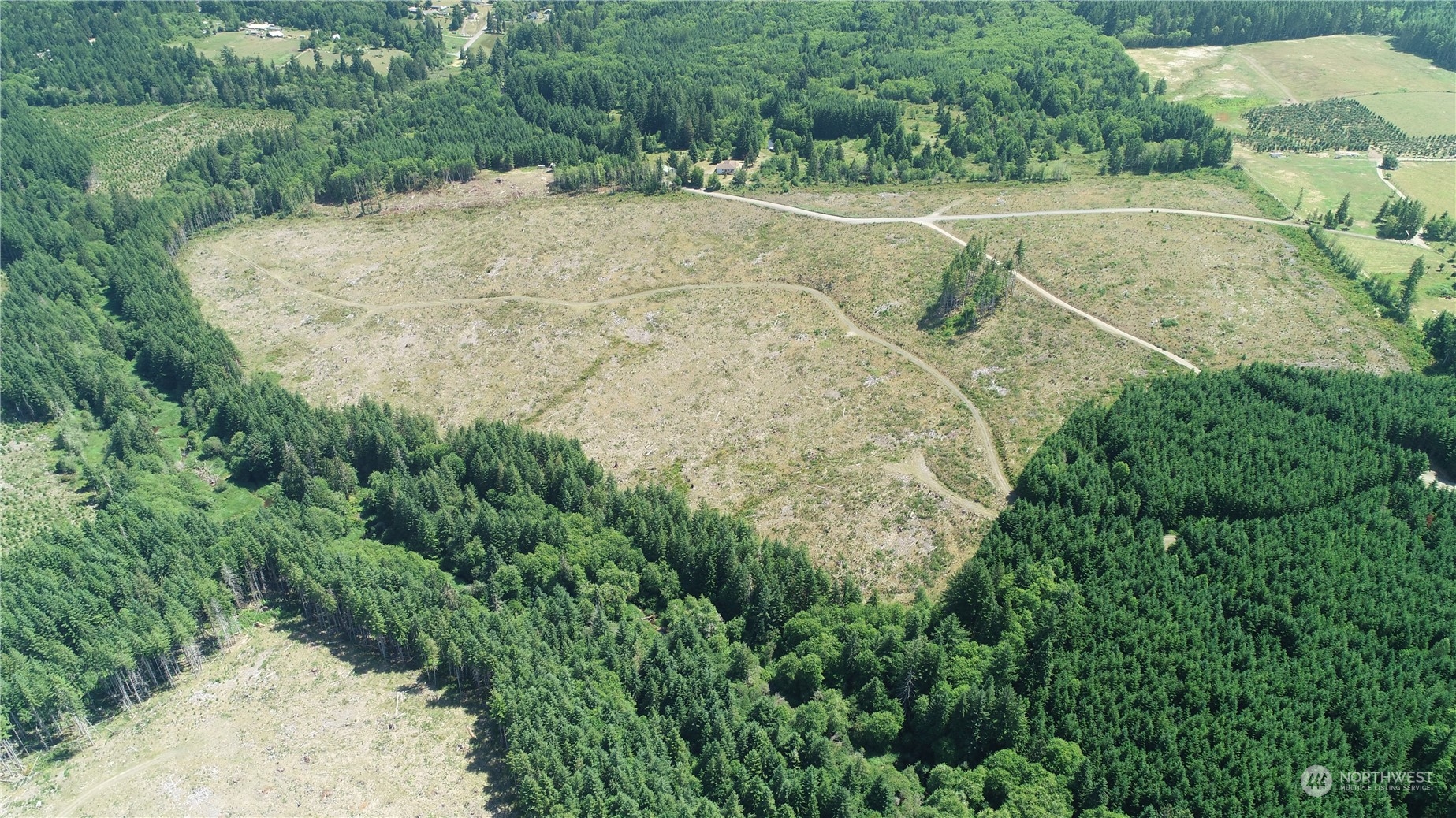 1068 Salmon Creek Road Mossyrock, WA 98564 - Photo 11 of 37 a view of a yard with a trees