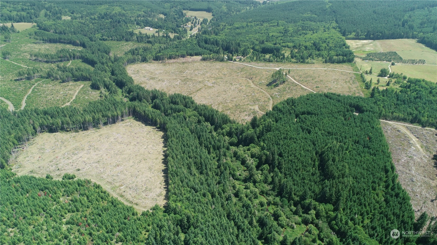 1068 Salmon Creek Road Mossyrock, WA 98564 - Photo 12 of 37 an aerial view of a house with a yard