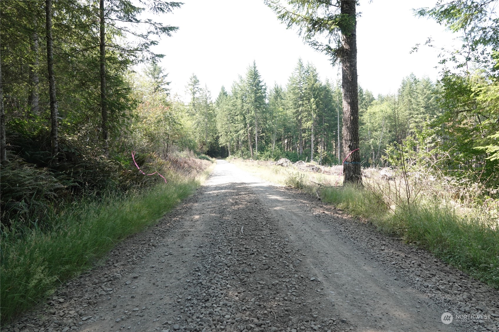 1068 Salmon Creek Road Mossyrock, WA 98564 - Photo 17 of 37 a view of outdoor space with trees all around