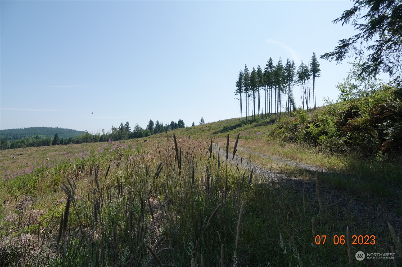 1068 Salmon Creek Road Mossyrock, WA 98564 - Photo 19 of 37 a view of a lake from a yard