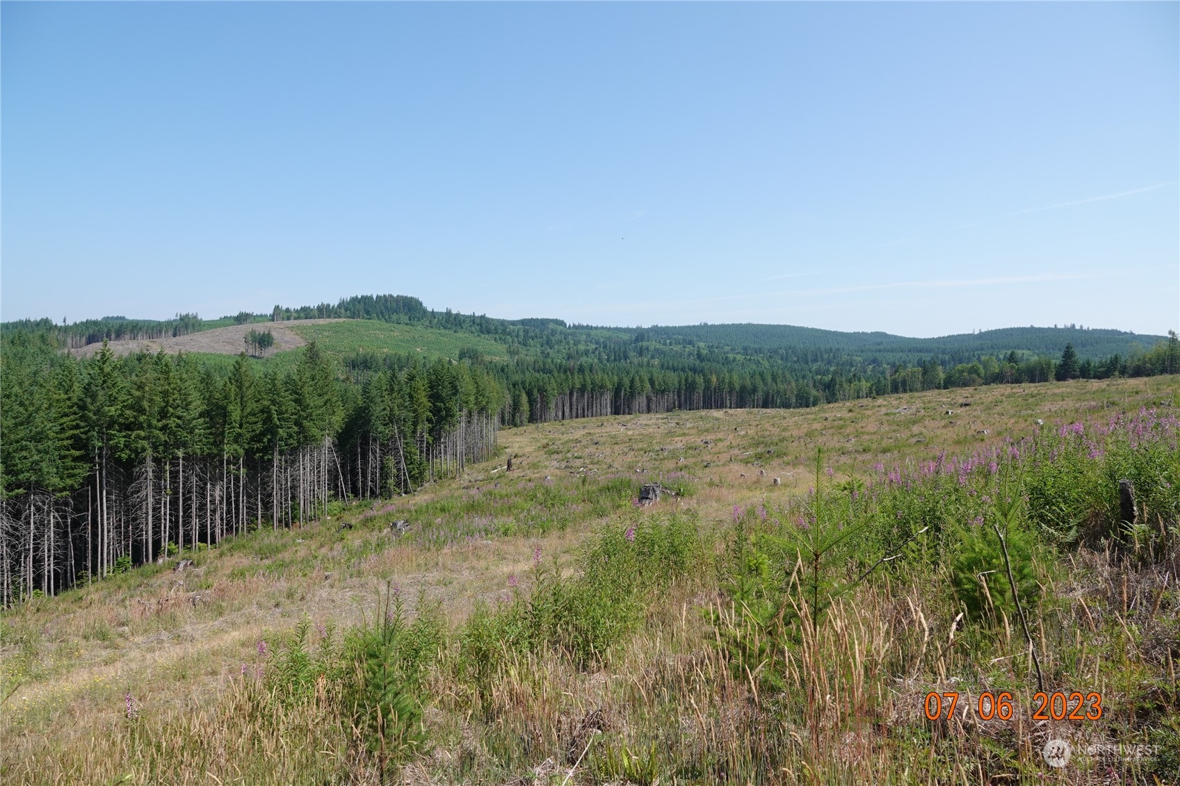 1068 Salmon Creek Road Mossyrock, WA 98564 - Photo 21 of 37 a view of a lake with houses in the back